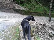 Trekking Kelar Pets Evolution binomio perfetto..