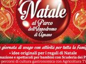 Natale Parco dell’Ippodromo Agnano adulti bambini