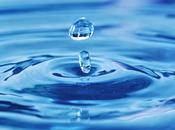 L'acqua Docscient festival 2014