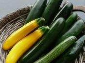 Coltivare zucchine
