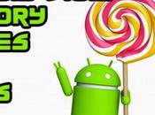 Androd 5.0.1: arrivano factory image Nexus