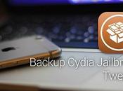 Come Effettuare Backup Cydia iPhone