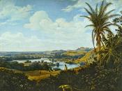 Paesaggi: paesaggio brasiliano formichiere