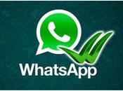Whatsapp: tocco eleganza arrivo