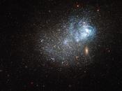 fabbrica stelle ferie