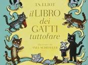 libro gatti tuttofare