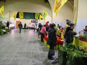 mercato Campagna Amica Pisa