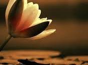 CASD: morto sottufficiale