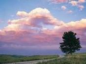 succede "terre verdiane"?