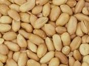 Coltivazione arachidi