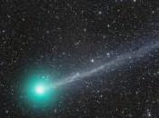 Occhio alla cometa Lovejoy
