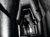 FINGERS GUITAR, Rinuncia All’Eredità