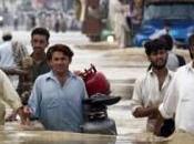 POYi 2015, fotoreporter concorso