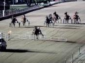 Ippica: prima 2015 Vinovo
