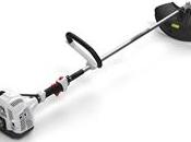 Decespugliatore alpina