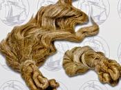 Stizza, stoppinare, storiare, stracanarsi, strapparsi buco l'unge Parole verbi disuso