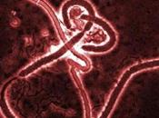Ebola: diminuiscono casi Liberia, parla l’anestesista tornata Sardegna