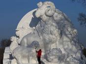 Harbin Festival 2015