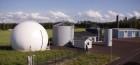 Biogas nella microgenerazione diffusa livello quartiere