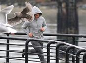 vuol esser Grey?