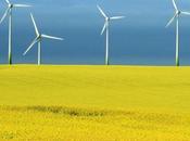 2014 record rinnovabili