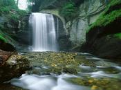 conoscenza medica Mediterraneo