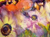 Anemones (studio)