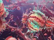 Aids, virus dell’HIV: Estirpato grazie enzima