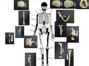 Ritrovate delle ossa Mausoleo Anfipoli