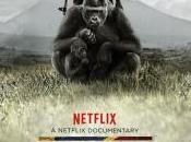 Virunga documentario gorilla ottiene nomination all’Oscar