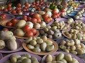 Frutta verdure importate dall’America dopo Cristoforo Colombo