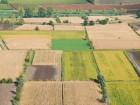 terreni agricoli: decreto finalmente Gazzetta Ufficiale