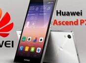 Huawei: Honor Ascend nostro confronto!