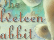 velveteen rabbit: giocattoli illustrazione