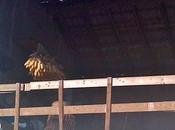 primavera arriva pausa pranzo fa... campestre