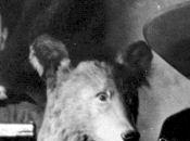 Fraley (1924-2011)