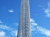 Tokyo Tree torre alta mondo