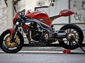 Triumph Speed Triple Special Weslake