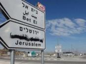 L'ultima mossa Netagnagnu: cartelli stradali