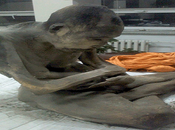 Mummia monaco congelata anni, buddisti: “Non morto, meditando”