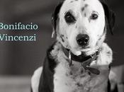 Testimone cane altri racconti Bonifacio Vincenzi