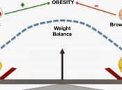 Peperone peperoncino: perché usano fitoterapia. ultime scoperte.