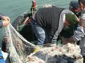Siracusa, unica città siciliana progetto europeo pesca ecocompatibile