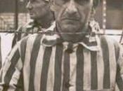 “fool” denuda