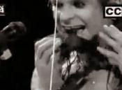 OZZY OSBOURNE rivolta pipistrelli