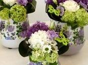 Composizioni fiori secchi