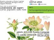 Impariamo conoscere rose