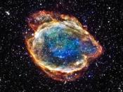 Fiore cosmico, altro Sanremo