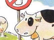 Intolleranza Lattosio, come comportarsi