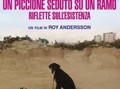 piccione seduto ramo riflette sull’esistenza, nuovo Film della Lucky